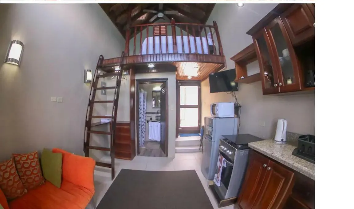 Shipwatcher Studio W/Mezzanine Ocho Rios